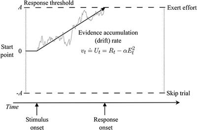 Commentary: Dopamine-Dependent Loss Aversion during Effort-Based Decision-Making